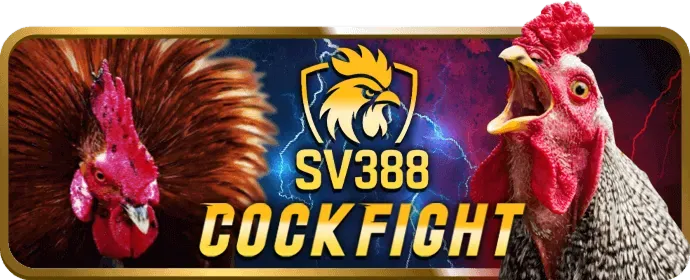 Cá cược thể thao sôi động tại hi88bet